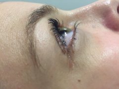 Permanent cils